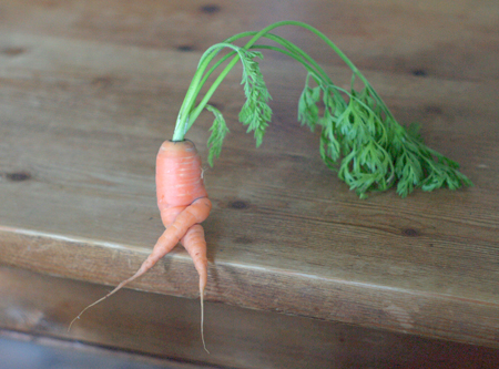 Carrot crossing its legs : r/mildlyinteresting